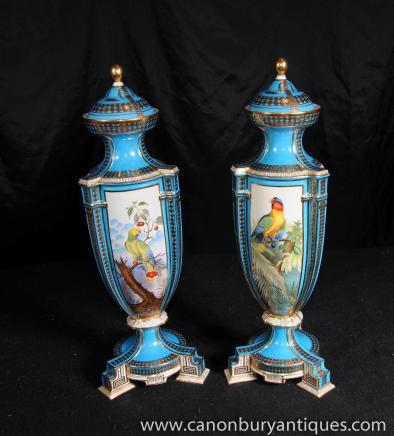 Paire porcelaine de Sèvres Parrot Bird amphores Vases poterie Française