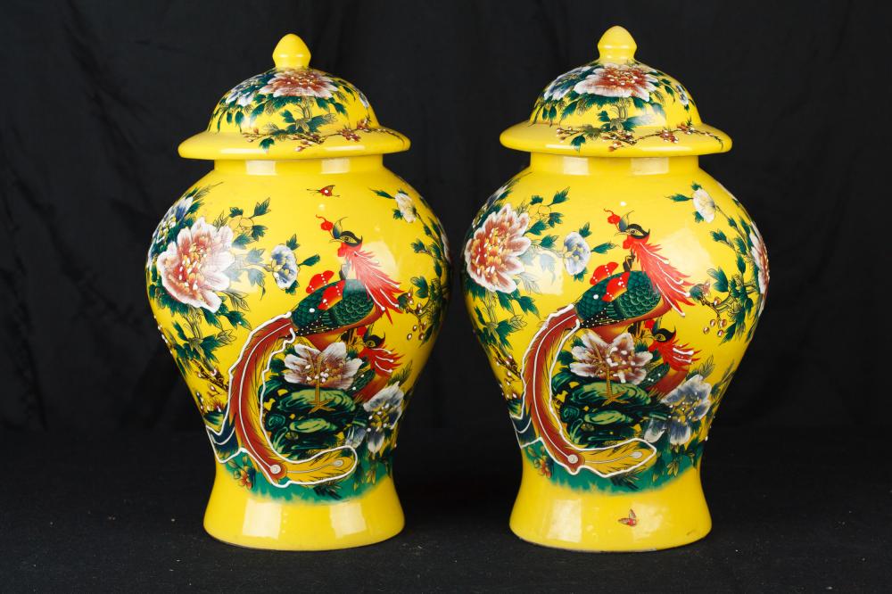 Paire chinoise Ming en porcelaine Vases Ginger Urnes Temple Jars Pheasant