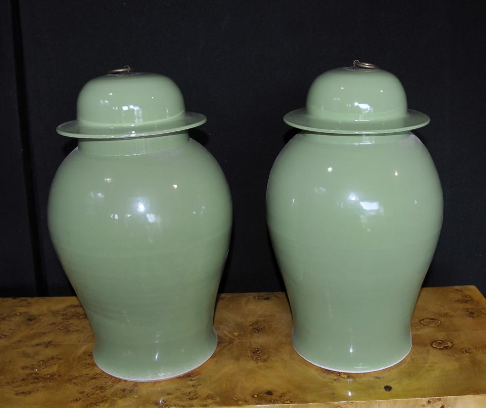 Paire Chinese Porcelain Ginger Jars Urnes Vases Kangxi