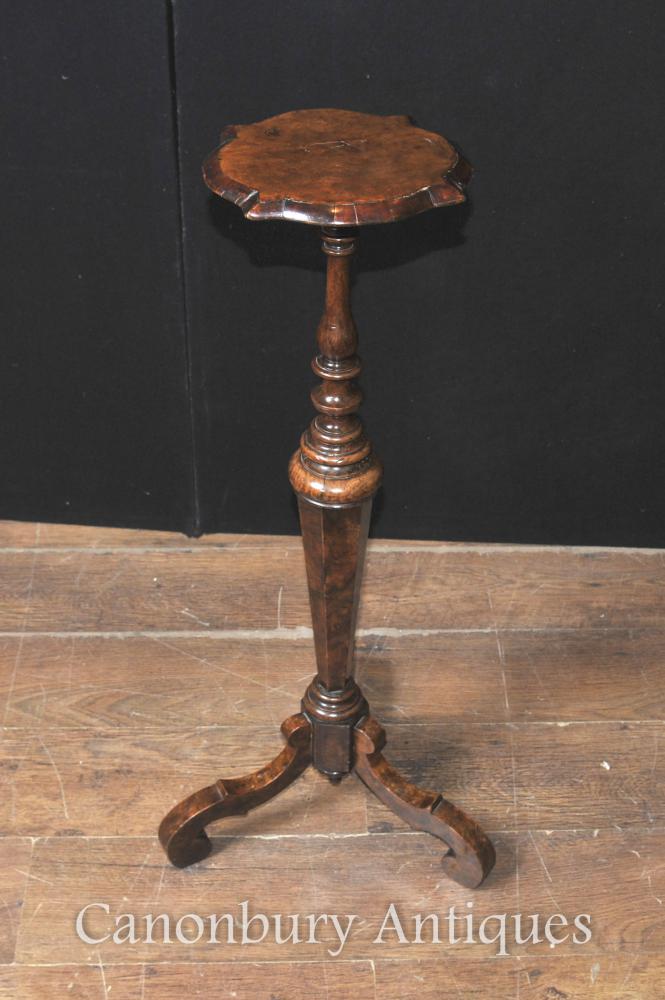 Antique William et Mary Walnut Pedestal stand Tableau 1860
