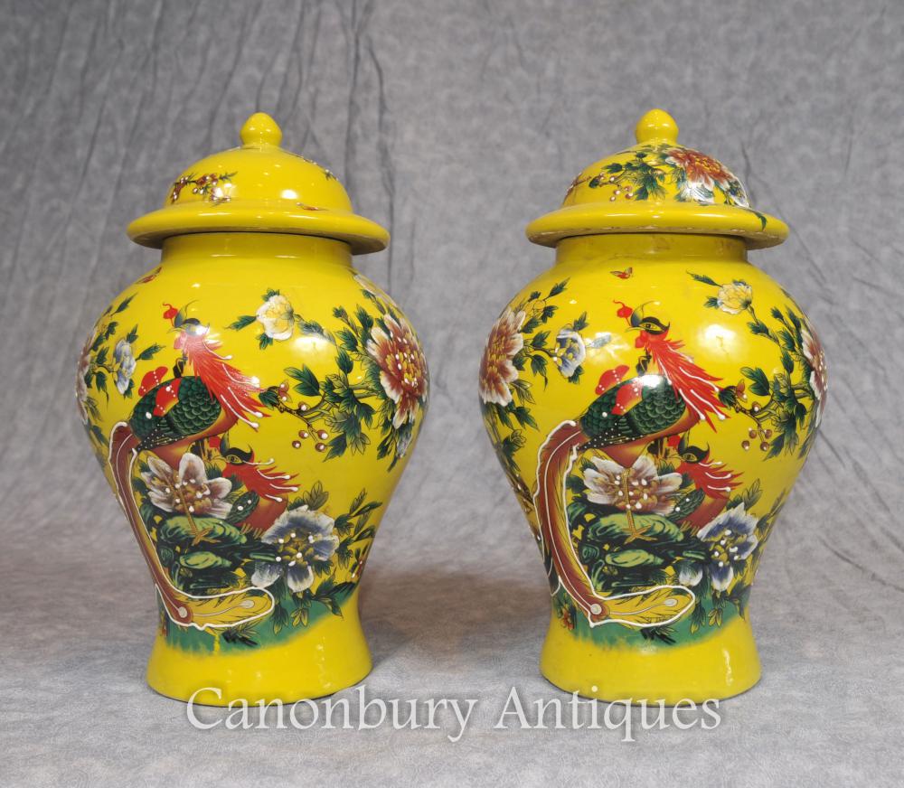 Paire Porcelaine chinoise Ming Porcelaine Urnes Temple Jars Oiseaux du Paradis