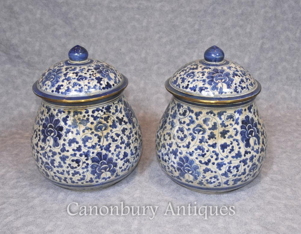 Paire de porcelaine chinoise bleue et blanche Lidded Urns Kangxi céramique