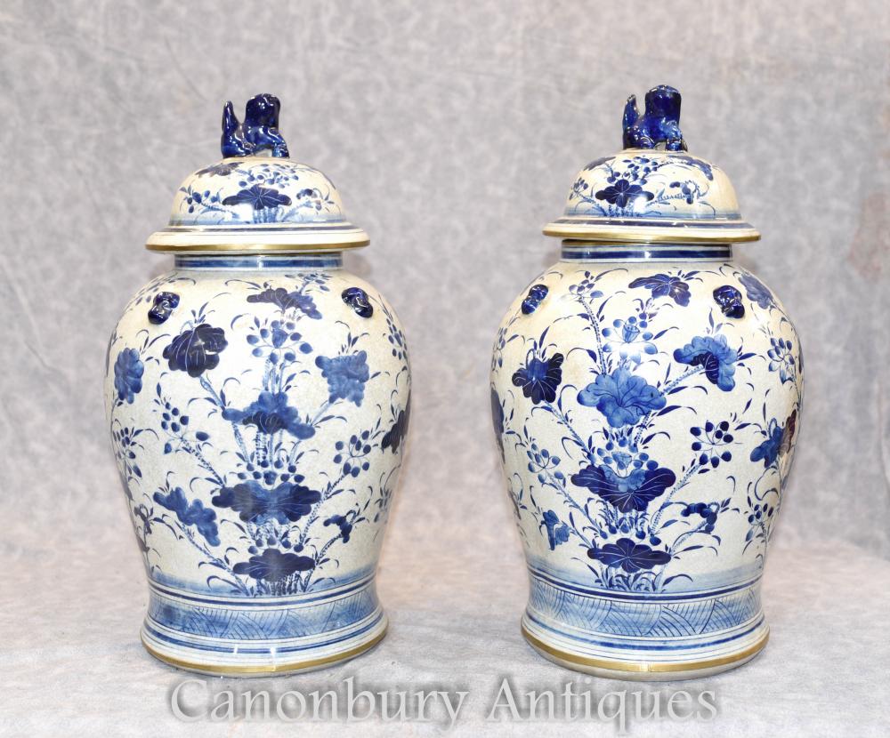 Paire de vases à gingembre chinois en porcelaine bleue et blanche Vases Ming