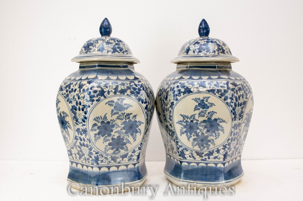 Paire de vases chinois en porcelaine Qing - Urnes peintes bleues et blanches