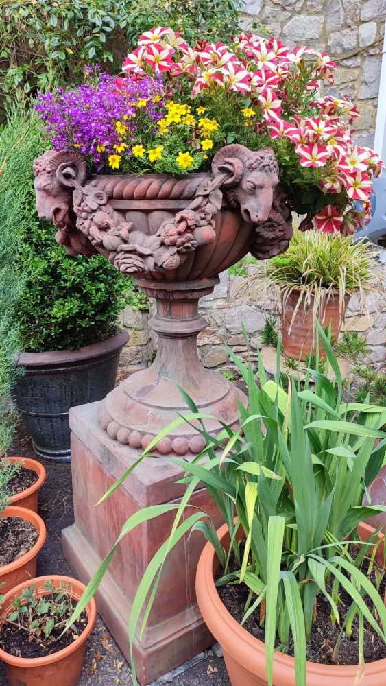 Urne de jardin classique en terre cuite, jardinière à tête de bélier Regency